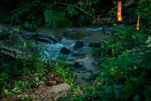 BIB: 
                            <button type="button" onclick="openModal(19299984)" class="btn btn-primary btn-sm float-right btn-popup" data-toggle="modal" data-target=".modal-high-quality">
                        <i class="fas fa-shopping-cart"></i> Add to Cart
                    </button>
                                            <button type="button" onclick="isThisMe(19299984, true)" class="btn btn-success btn-sm float-right btn-popup btn-isme hidden" data-toggle="tooltip" data-placement="bottom" title="นี่คือรูปของคุณใช่ไหม คลิกที่นี่เพื่อเอาเข้าอัลบั้ม">
                        <i class="fas fa-plus"></i> Add to album
                    </button>
                    <button type="button" onclick="isThisMe(19299984, false)" class="btn btn-warning btn-sm float-right btn-popup btn-isnotme hidden">
                        <i class="fas fa-ban"></i> Remove from album
                    </button>